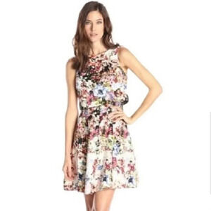 Gabby Skye 2 Piece Watercolor Floral Dress 8